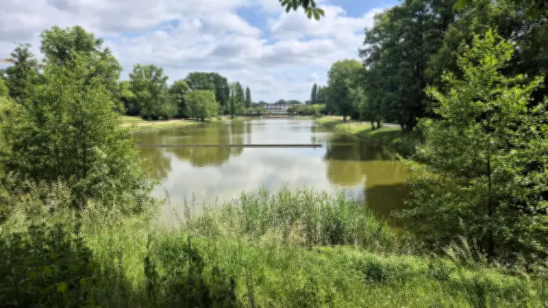 Volkspark Mariendorf: Sanierung nach Everglades-Vorbild gestartet