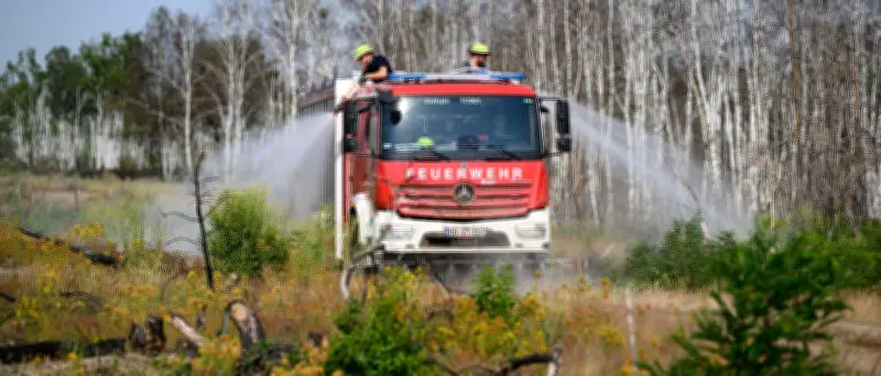 Waldbrand in Gohrischheide: Hitze und Wind erschweren Löscharbeiten