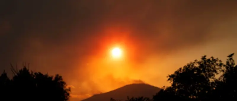 Waldbrand in Utah: Feuer auf 12.500 Hektar ausgeweitet – Evakuierungen
