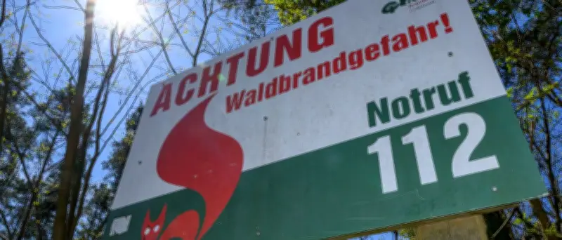 Waldbrandgefahr in Brandenburg sinkt nach Wochenendbränden