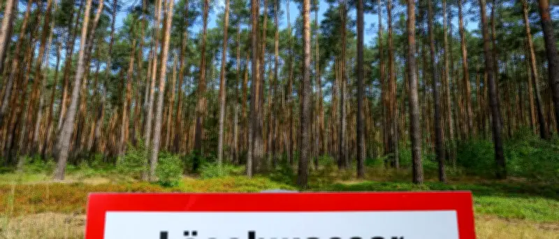 Waldbrandgefahr in Brandenburg steigt auf höchste Stufe 5