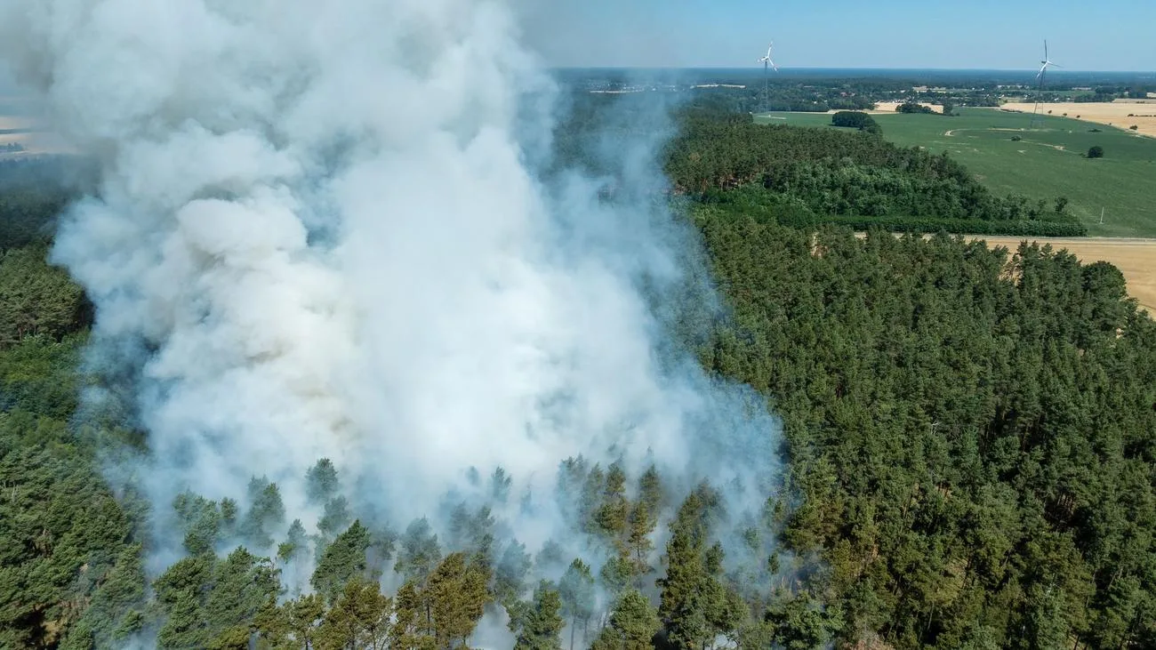 Waldbrandgefahr in Brandenburg steigt zum Maiwochenende – Warnstufe 3 erreicht