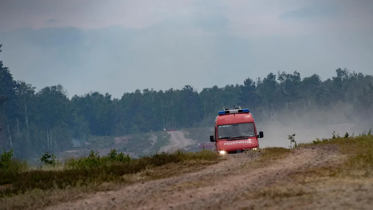 Schutzstreifen gegen Waldbrände: Wie sie auf ehemaligen Truppenübungsplätzen wirken