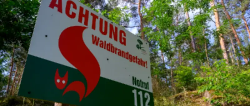Waldbrände in Brandenburg: Vorbereitung auf hohe Gefahr