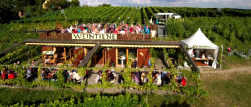 Wein und Zwiebelkuchen wie an der Mosel: Genuss nahe Berlin