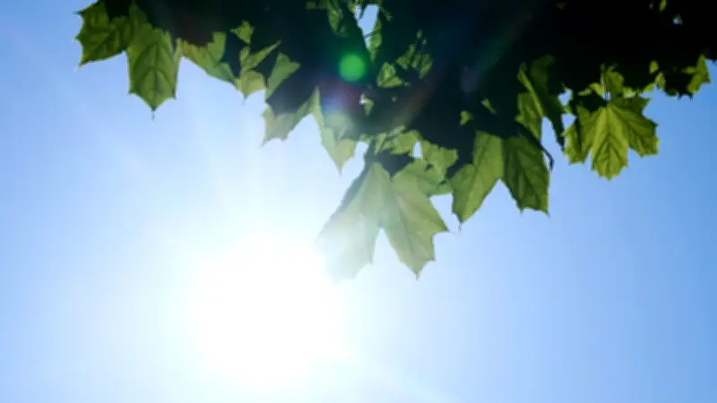 Wetter in Berlin und Brandenburg: Bis zu 34 Grad zur Wochenmitte