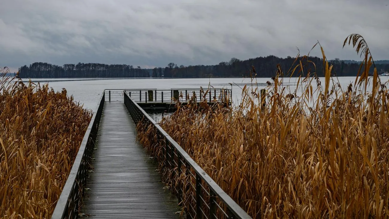 Wetterwende: Nach Frost wird es mild und nass – Vorfrühling in Sicht