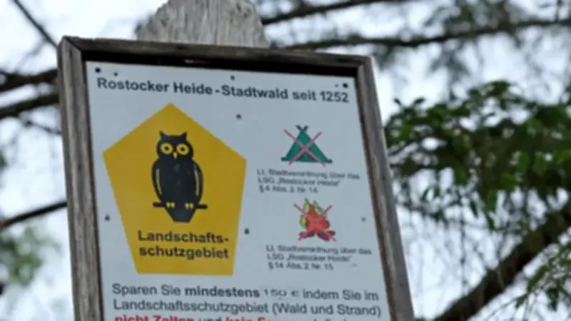 Wildcampen in MV: Hohe Bußgelder und strenge Regeln