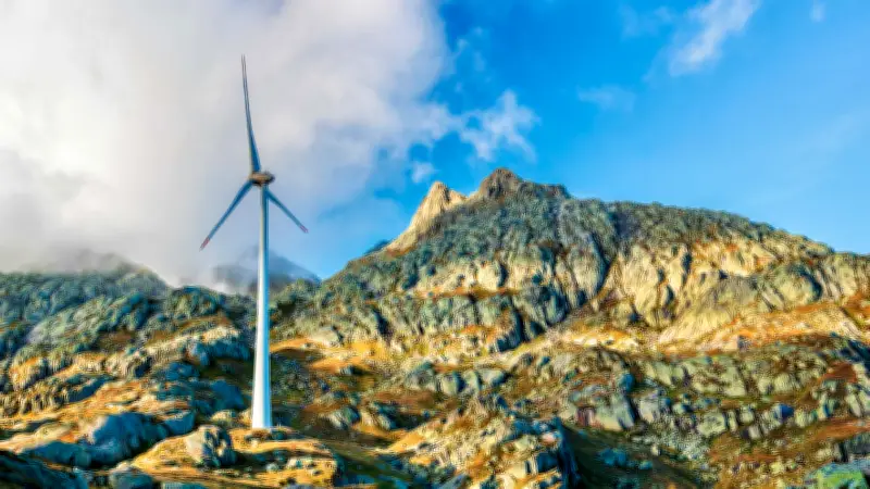 Windrad tötet mehr Vögel als alle anderen: Forscher verblüfft