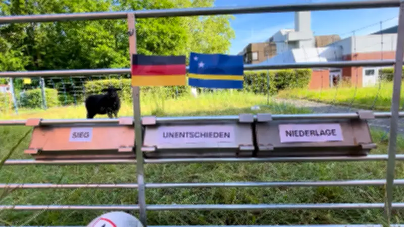 WM-Orakel Tina: Unentschieden gegen Curacao – Deutschlands erstes Gruppenspiel