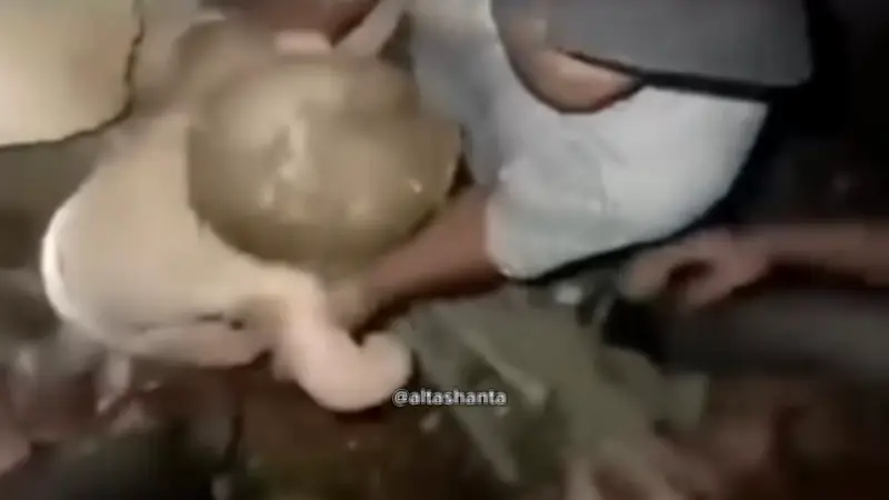 Wunder-Rettung in Venezuela: Baby lebend aus Trümmern gezogen