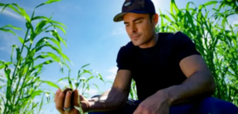 Zac Efron baut Traumhaus aus Hanf in Australien
