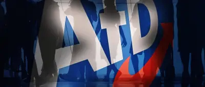 AfD-Wähler: Studie zeigt drei Gruppen – nur 20 Prozent radikal