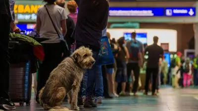 GSM-R-Funkstörung legt Bahnverkehr bundesweit lahm