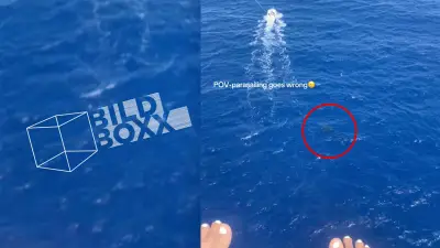 Hai-Alarm beim Parasailing: Video von Hawaii geht viral