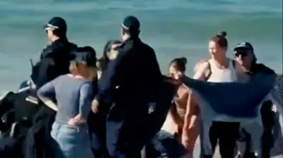 Hai-Attacke in Sydney: Schwimmerin vor Touristenstrand gebissen