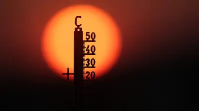 Historische Hitzewelle: 41,5 Grad in Deutschland – Rekorde purzeln in Europa