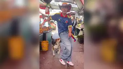 Hund beißt Tänzer während Hüftschwung-Einlage