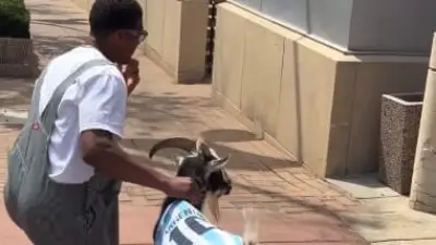 NFL-Star Jameis Winston überrascht mit Messi-Ziege bei Spaziergang