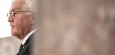 Steinmeier drängt auf politische Erfahrung bei Nachfolge
