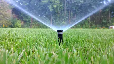 Wasser sparen im Garten: Experte empfiehlt Tröpfchenbewässerung