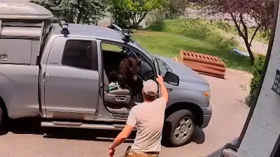 Wildes Tier im Auto: Handwerker erlebt Schreckmoment in Colorado