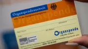 359 Menschen in Sachsen warten auf lebensrettende Spenderorgane