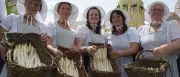 64.000 Besucher beim Spargelfest in Beelitz: Neuer Rekord