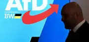 AfD-Parteitag in BW: Finanzaffäre um Schatzmeister belastet Partei