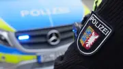 Über 60 Geigen und Celli in Flensburg gestohlen