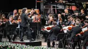 Berliner Philharmoniker: So trotzen sie der 40-Grad-Hitze in der Waldbühne