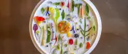 Berlins beste vegetarische Restaurants: Sechs Top-Adressen für Gemüseküche