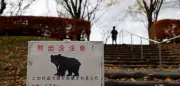 Bär in Utsunomiya: Schulen geschlossen nach Sichtungen