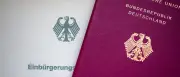 Brandenburg verzeichnet starken Anstieg bei Einbürgerungen von Ausländern