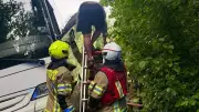 Busfahrer bleibt im Wald stecken: Kinder mit Taxis zur Jugendherberge