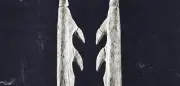 Das Mysterium der Waldmenschen von der Blätterhöhle