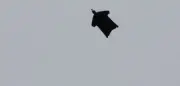 Deutscher Wingsuit-Flieger in Schweizer Alpen tödlich verunglückt