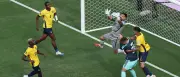 DFB-Elf müht sich zu 1:1 gegen Ecuador – Nagelsmann schont Stammkräfte