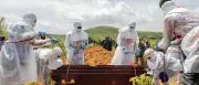 Ebola-Ausbruch im Kongo: 102 bestätigte Todesfälle, viele Herausforderungen