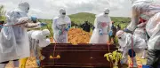 Ebola-Ausbruch in Zentralafrika: Neue Fälle in Uganda und Ostkongo