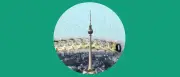 Eichenprozessionsspinner: Berlin kämpft gegen die Raupenplage