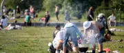 Eichenprozessionsspinner: Grillverbot und gesperrte Sportplätze in Berlin