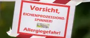 Eichenprozessionsspinner wird in Berlin zur Plage: Bezirke schlagen Alarm
