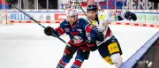Eisbären Berlin holen Gabriel Fontaine zurück – Verstärkung für den Umbruch