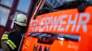 Ekel-Alarm bei Berliner Feuerwehr: Schädlingsbefall in Charlottenburg-Nord