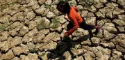 El Niño 2027: Droht das heißeste Jahr der Geschichte?