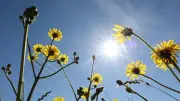 El Niño und La Niña: Wie sie unser Wetter weltweit beeinflussen