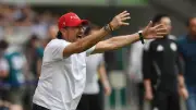 Energie Cottbus: Wollitz testet Ex-HSV-Star Pollersbeck im Training