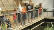 England: Mann wirft Kleinkind in Krokodilgehege – Lebensgefahr