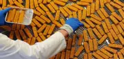 EU-Sanktionen: Droht Deutschland eine Fischstäbchen-Krise?